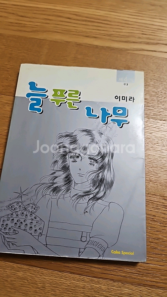 늘푸른나무 이미라--3