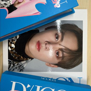 세븐틴 승관 디아이콘 디페스타 미니 (포카 포함)