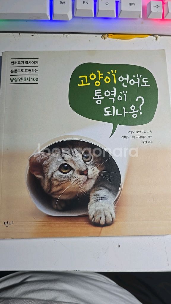 고양이 언어도 통역이 되나옹?--0