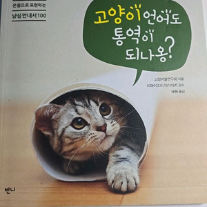 고양이 언어도 통역이 되나옹?