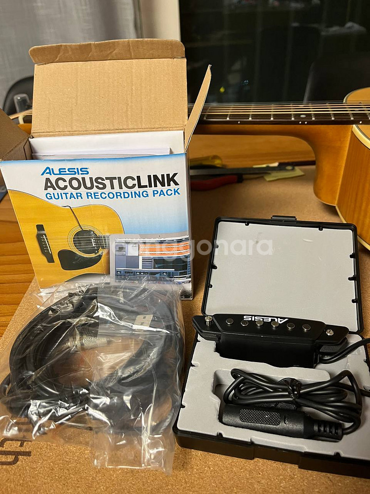 Alesis Acoustic Link / 어쿠스틱 픽업--0