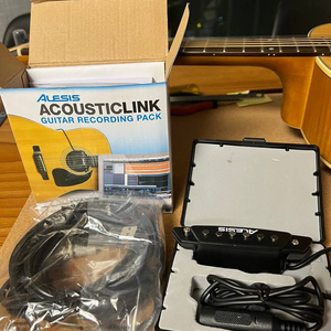 Alesis Acoustic Link / 어쿠스틱 픽업