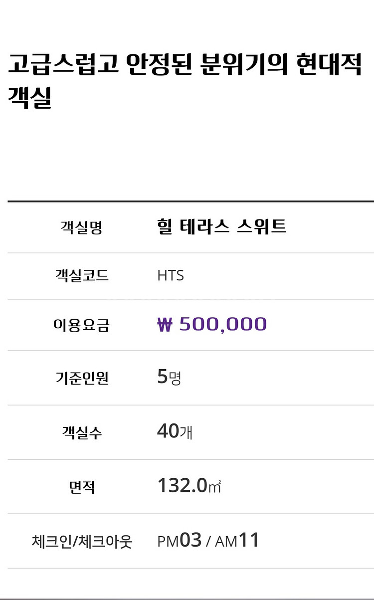 하이원 힐콘도 테라스 스위트--6