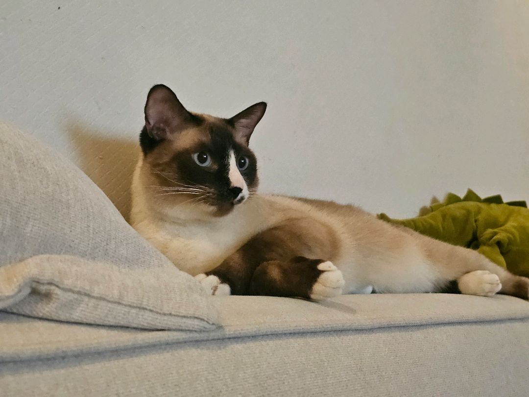 profile-image