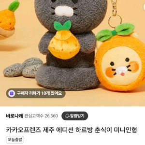 제주 돌하르방 춘식이 라이언