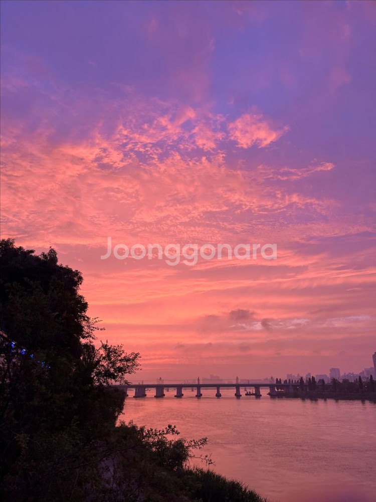 번장 리오파 결제창--0
