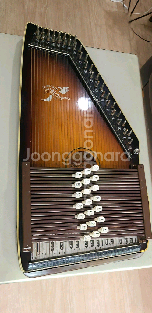 인테리어용 연습용 크로마하프 악기--1