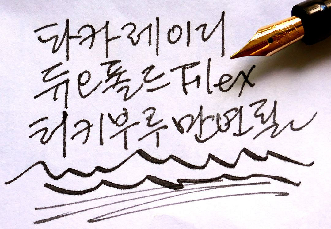 파카 듀오폴드 만년필 레이디 터키부루 마블 - Flex--8