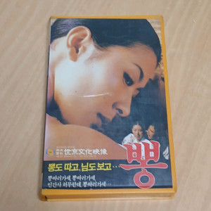 토속 에로티시즘 흥행작 이미숙 주연 뽕 비디오