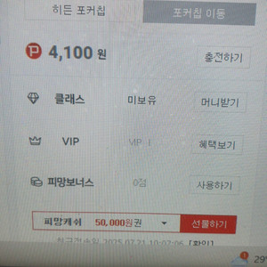 피망칩쿠폰팝니다