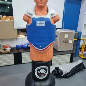 바디엑스 샌드백