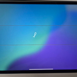 아이패드pro 12.9 m1 512g wifi,펜슬2