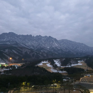 고성 소노펠리체 골드/실버 14/15/16일 구해요