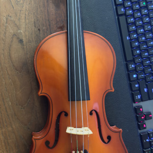 F cean violin 바이올린4/4
