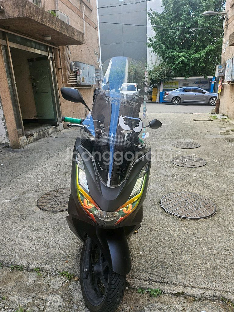 pcx 2024년식 abs--0