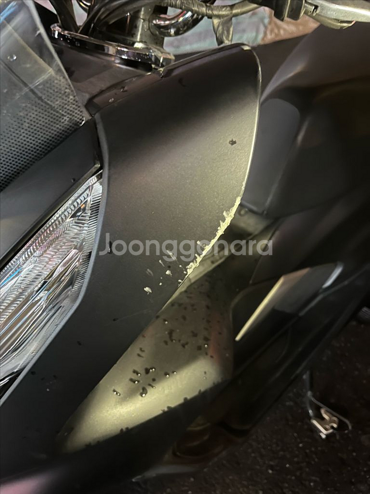 pcx125 2019년식--2