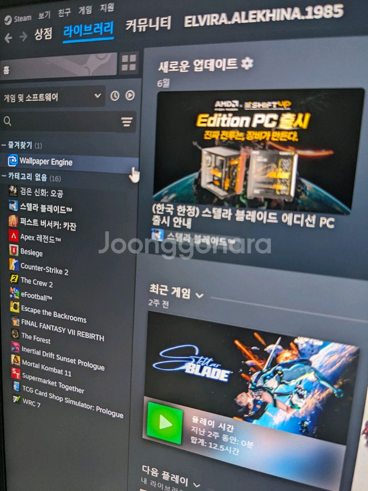 스팀 급매 스텔라블레이드 , 오공 , 카잔등--0