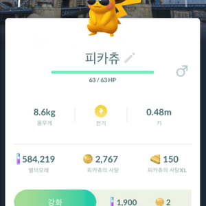 포켓몬고 런던 배경 로케카 이로치 피카츄 판매