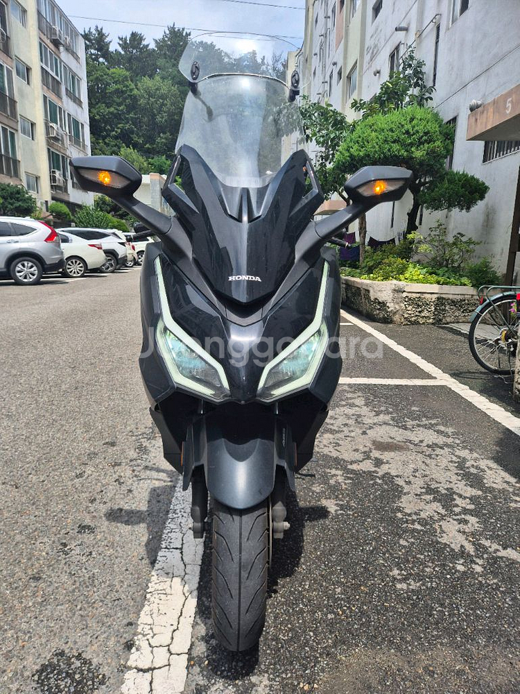 대구 포르자350 24년식--0