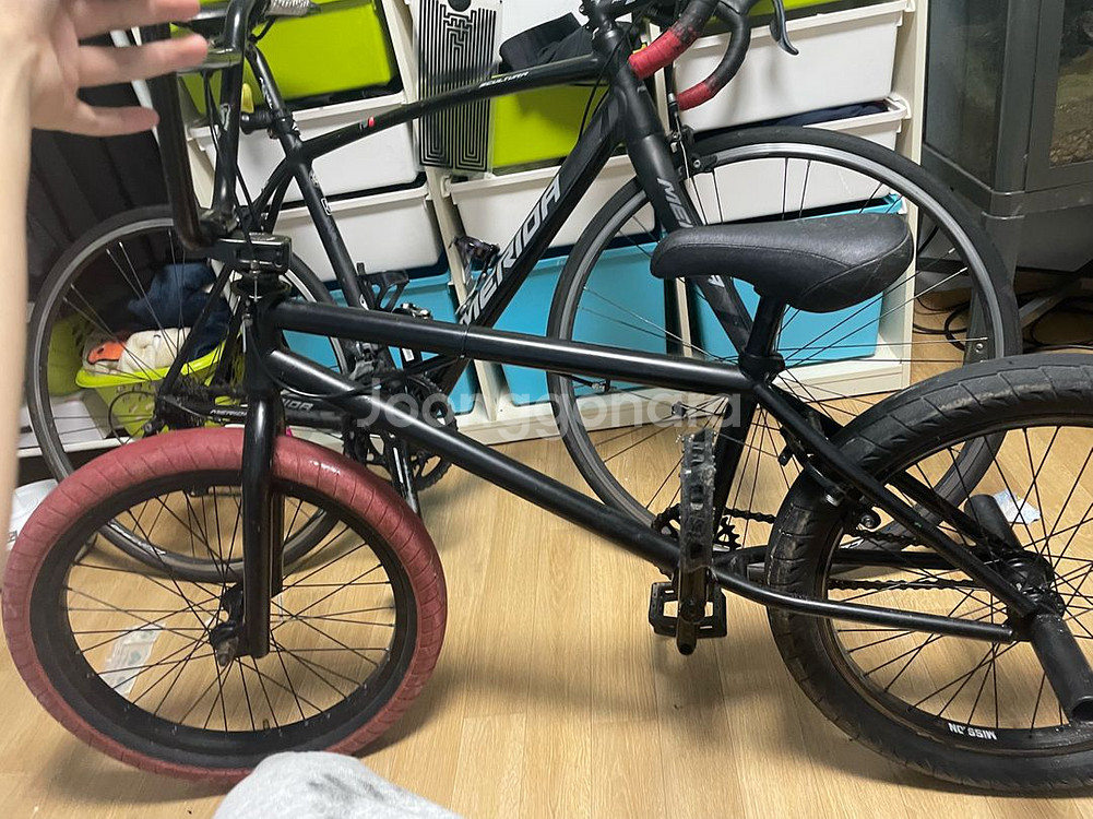 킨크 gap bmx--6