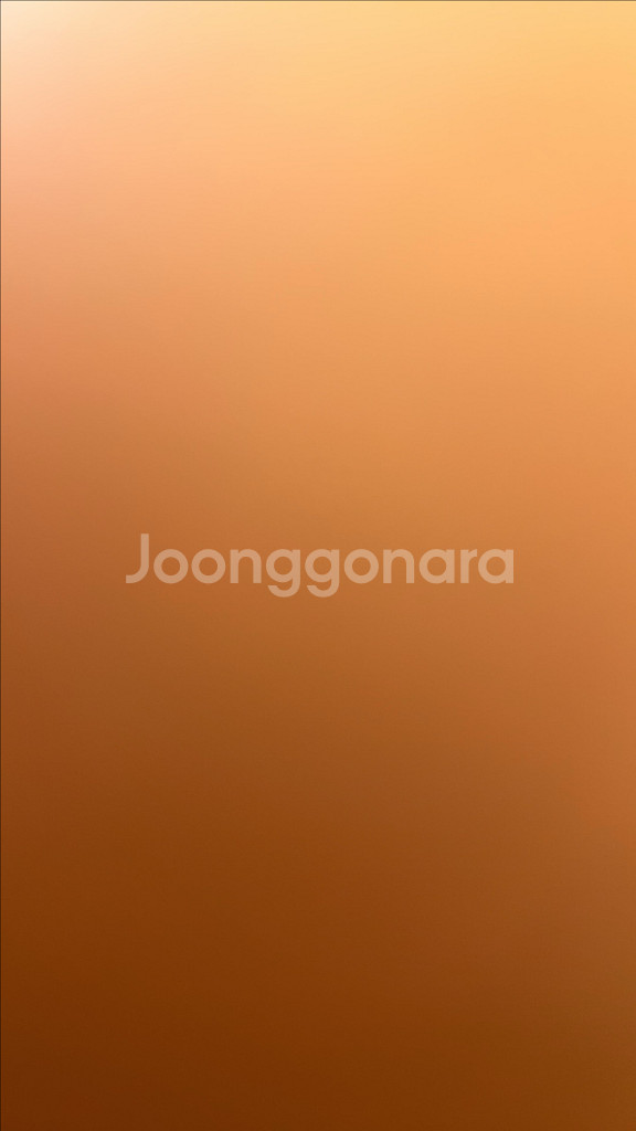 벨로스터n 대포배기 구합니다!--0