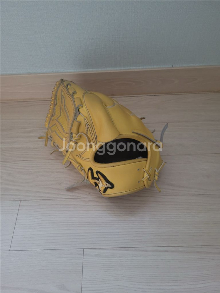 월드 페가수스 좌투 투수 글러브 판매--0