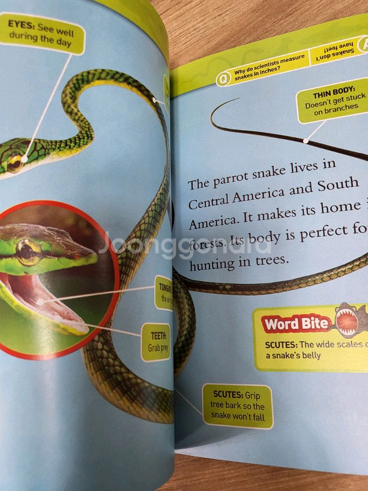 National Geographic Kids 리더스북--2