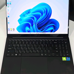 삼성 갤럭시북프로 게이밍노트북 Mx450탑재