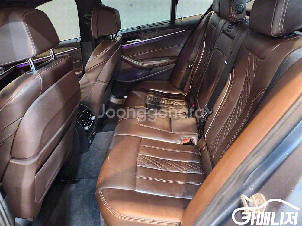 [BMW]5시리즈 (G30) 530i xDrive M--5