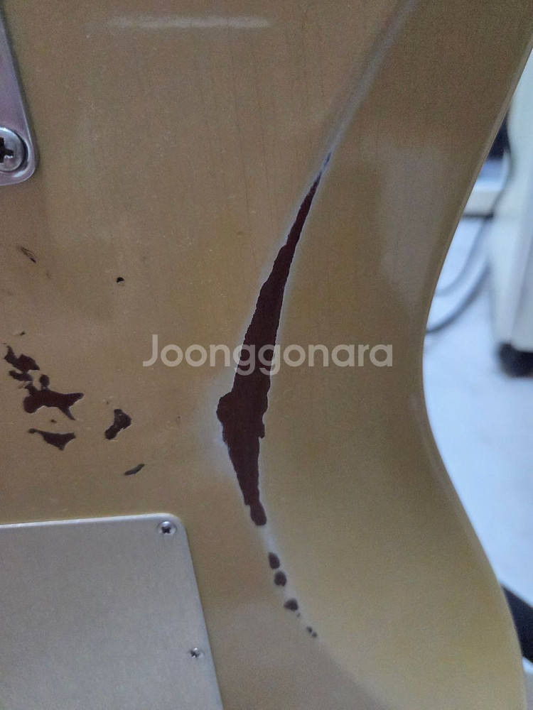 Fender Custom Shop 56--4