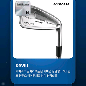 데이비드 원랭스 아이언