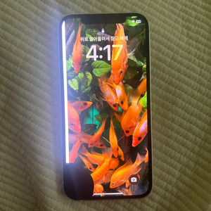 아이폰 12