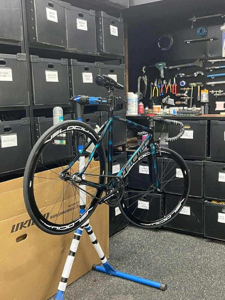 콘스탄틴 디스페랄 스페셜컬러 급처 이미지