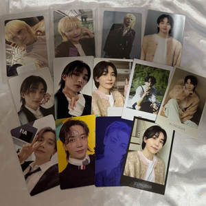 세븐틴 정한 소비기한 디스맨 등 포카 모음 양도