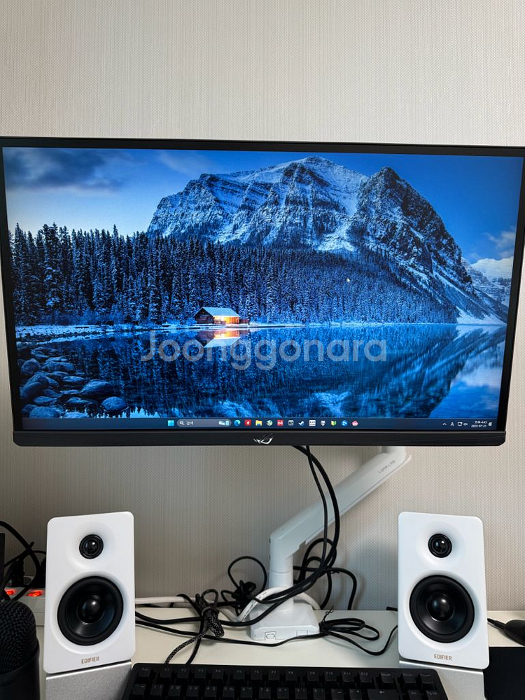 540hz asus pg248qp 판매--0