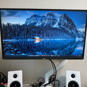 540hz asus pg248qp 판매