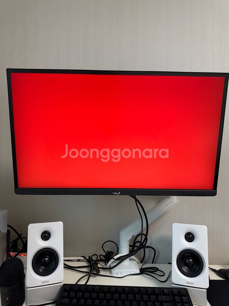 540hz asus pg248qp 판매--2