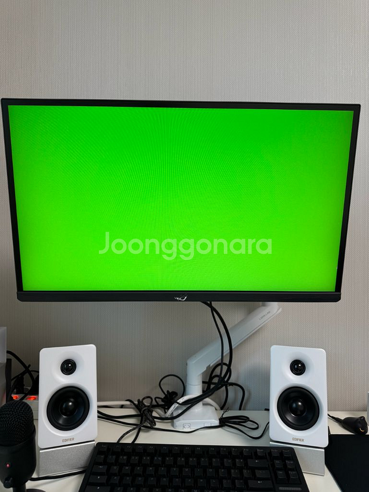 540hz asus pg248qp 판매--3
