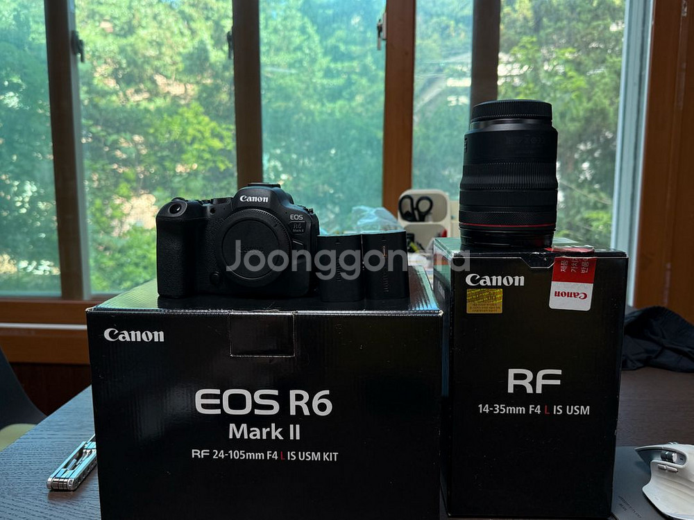 (급처)캐논 r6mark2 r6m2 RF14-35 F4--0