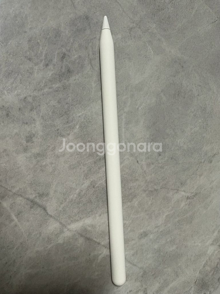 택포) 애플펜슬 프로--1