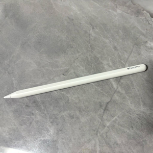 택포) 애플펜슬 프로