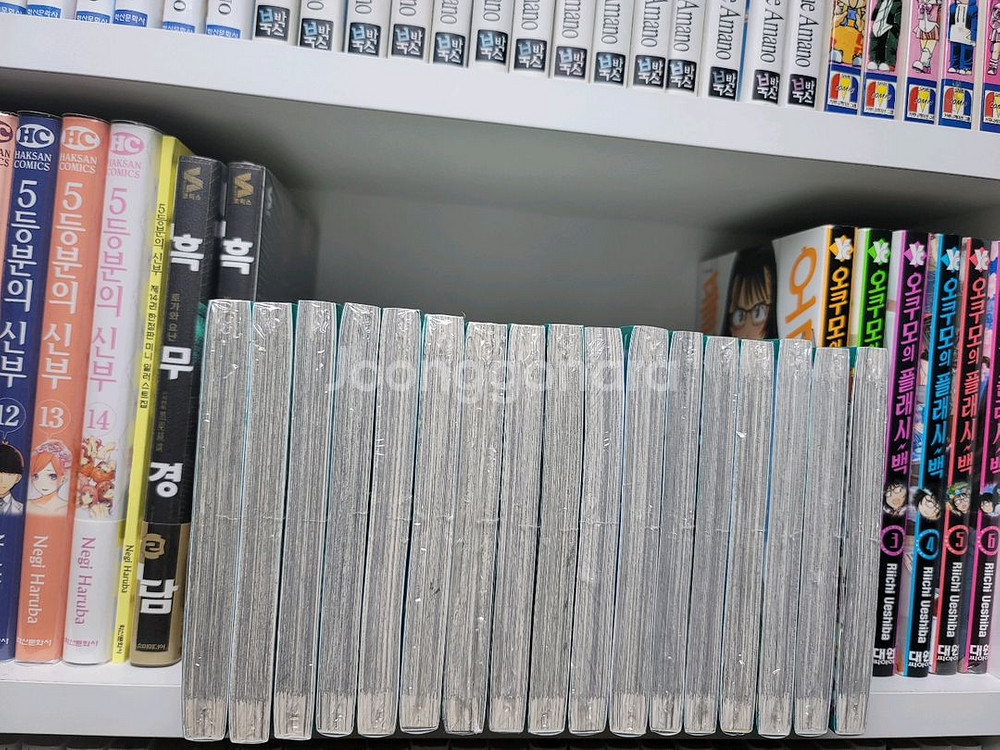 파티피플 공명 1~18--1