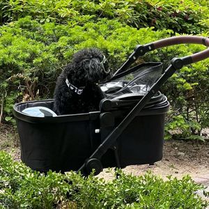 피콜로카테 탄토2 블랙