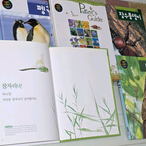프뢰벨 자연관찰 전권(80권+지침서)