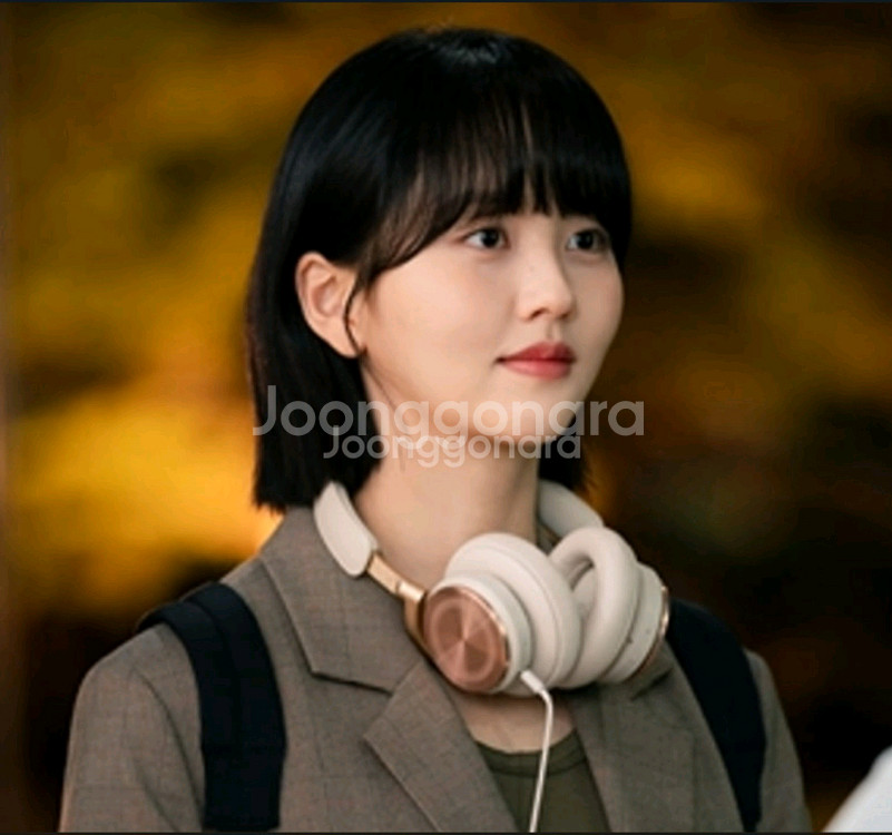 뱅앤올룹슨hx--1