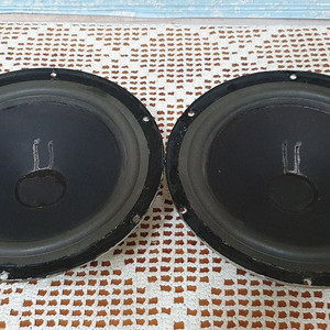 AR 10인치 우퍼 1조