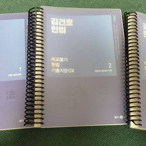 2024 김건호 헌법 비헌기 OX 메가공무원