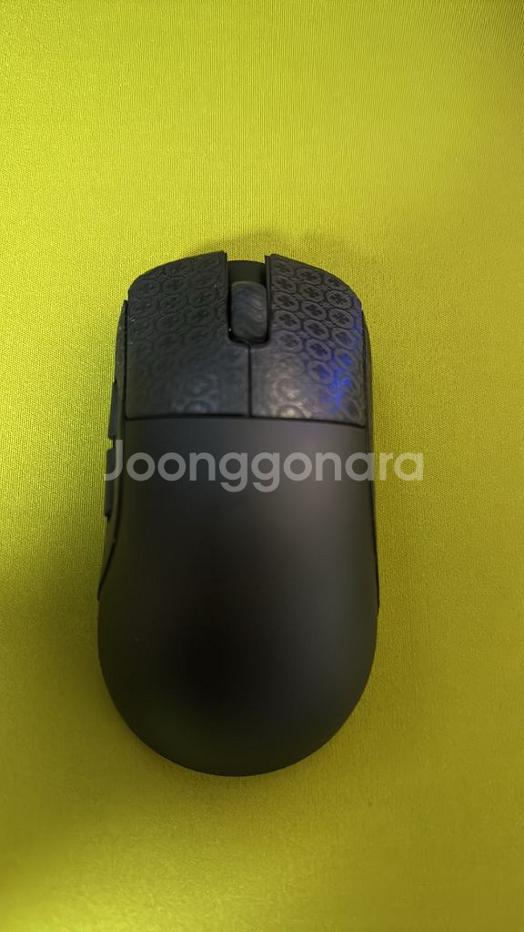 람주 잉카 판매합니다--0