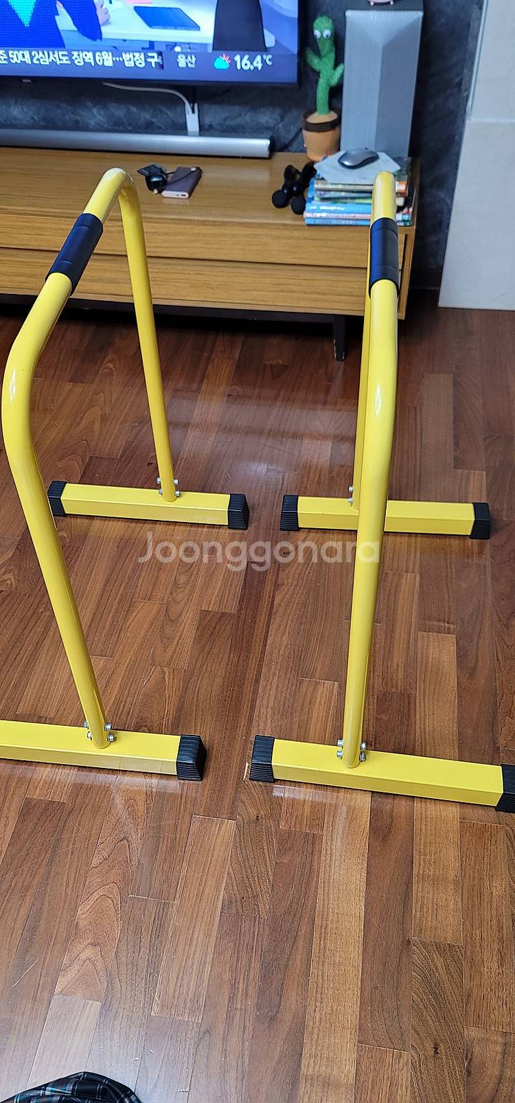 딥스바 평행봉 이퀼라이저바 헬스 철봉 딥 프레스--1