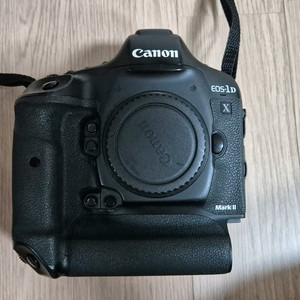 캐논 1dx mark2